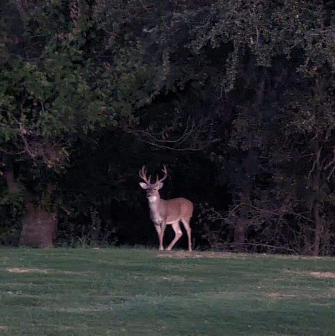 Eagle Resorts RV Park — Fort Worth, TX